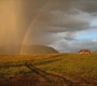 friendship 11 rainbow colorado