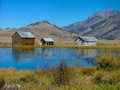 Barn Lake wGeese 2