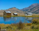 Barn Lake wGeese 2