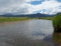 trout creekEND IN RIVER