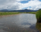 trout creekEND IN RIVER